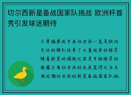 切尔西新星备战国家队挑战 欧洲杯首秀引发球迷期待