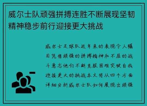 威尔士队顽强拼搏连胜不断展现坚韧精神稳步前行迎接更大挑战
