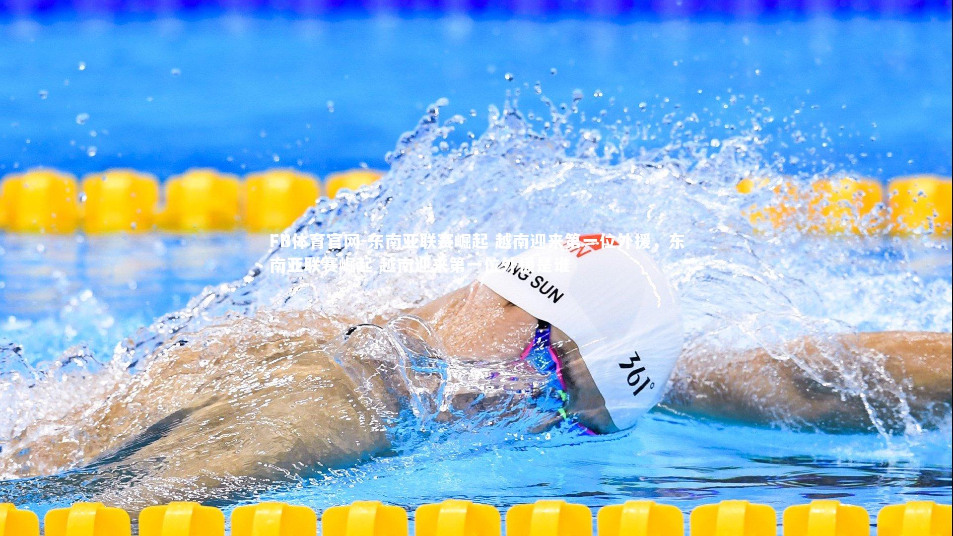 东南亚联赛崛起 越南迎来第一位外援,东南亚联赛崛起 越南迎来第一位外援是谁