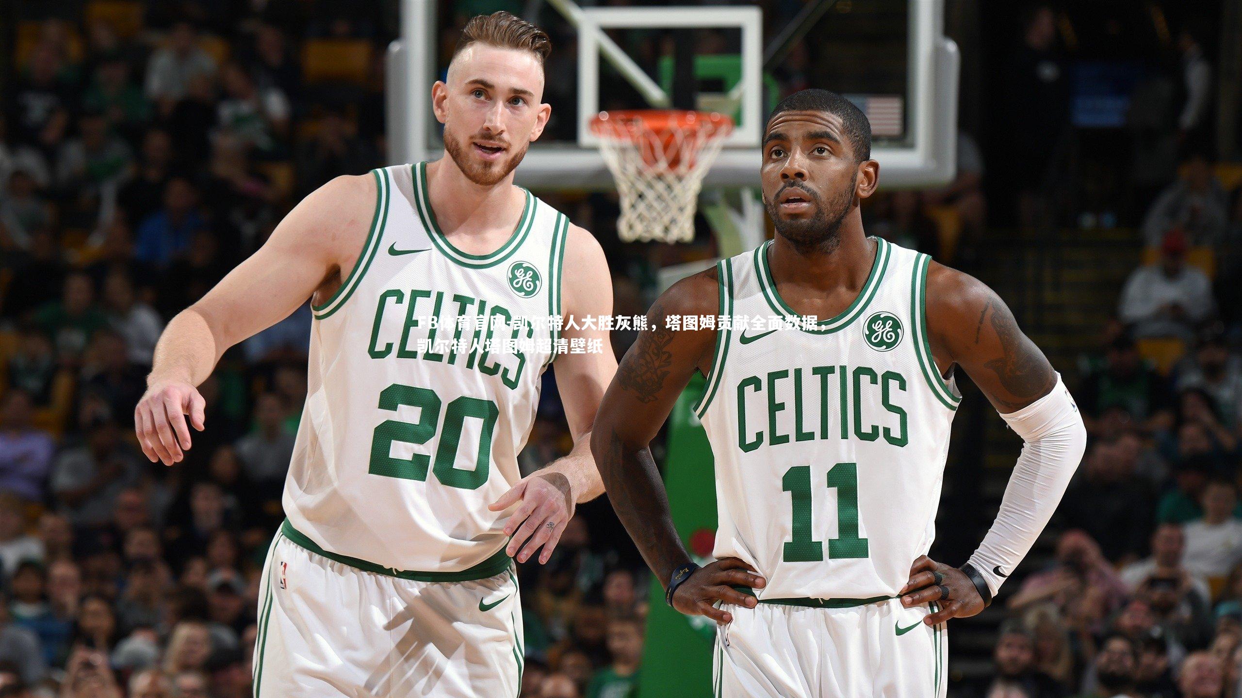 FB体育官网-凯尔特人大胜灰熊，塔图姆贡献全面数据，凯尔特人塔图姆超清壁纸