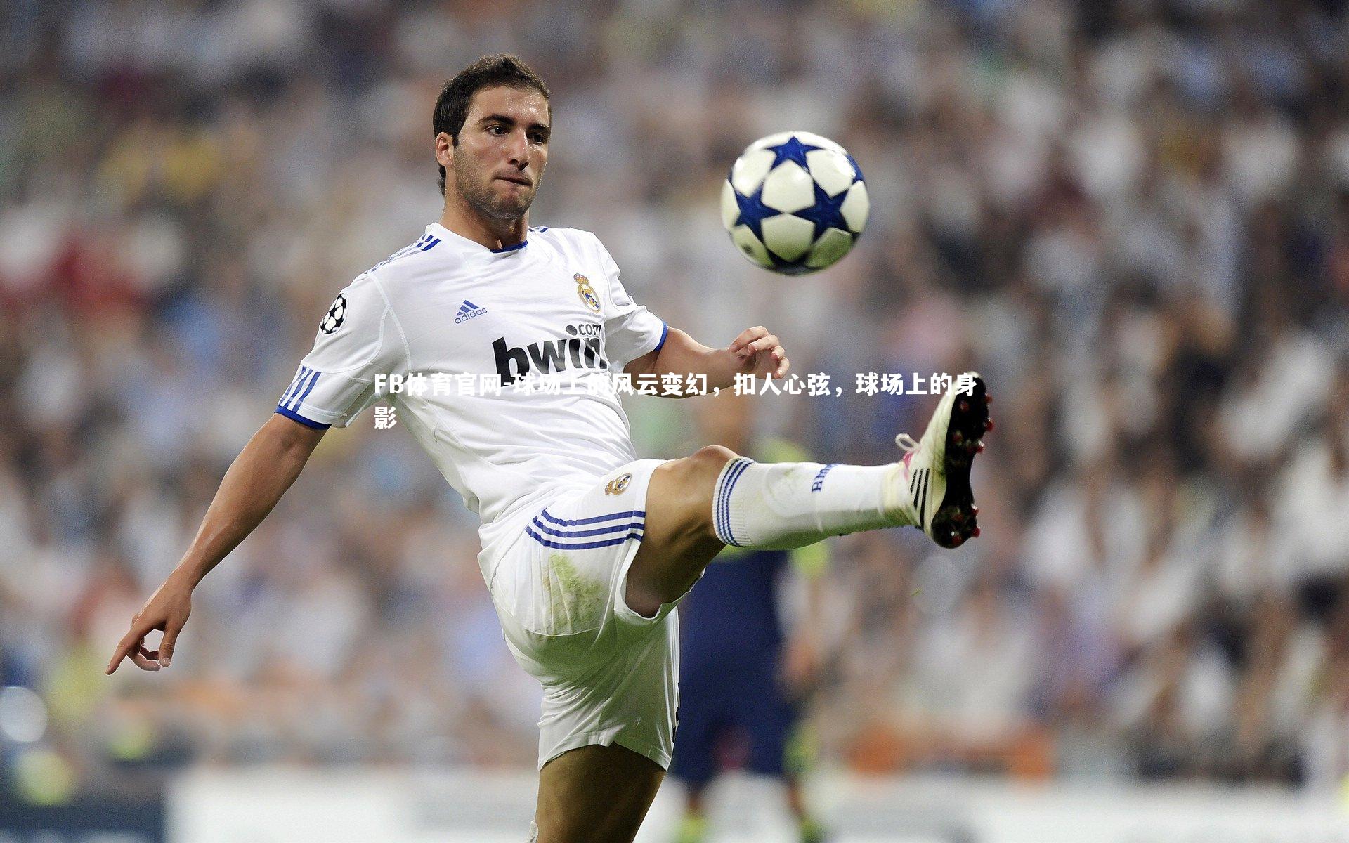 FB体育官网-球场上的风云变幻，扣人心弦，球场上的身影