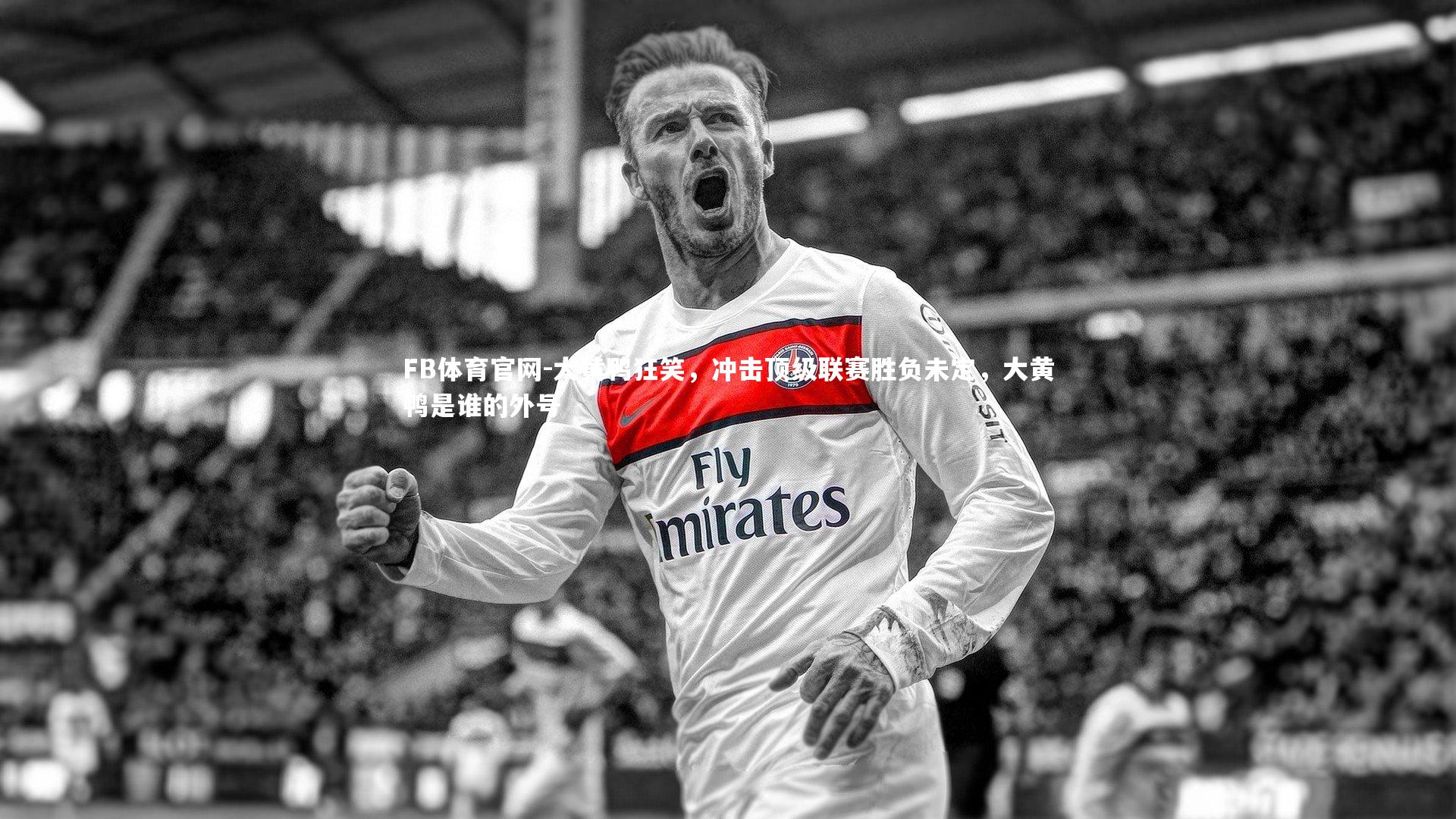 FB体育官网-大黄鸭狂笑，冲击顶级联赛胜负未定，大黄鸭是谁的外号