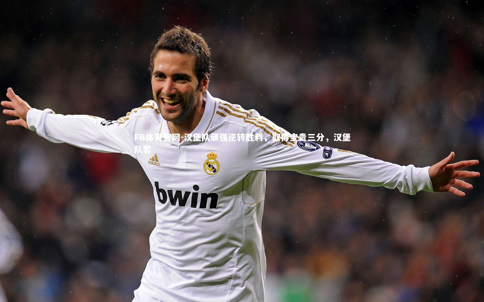 汉堡队顽强逆转胜利,取得宝贵三分,汉堡队套