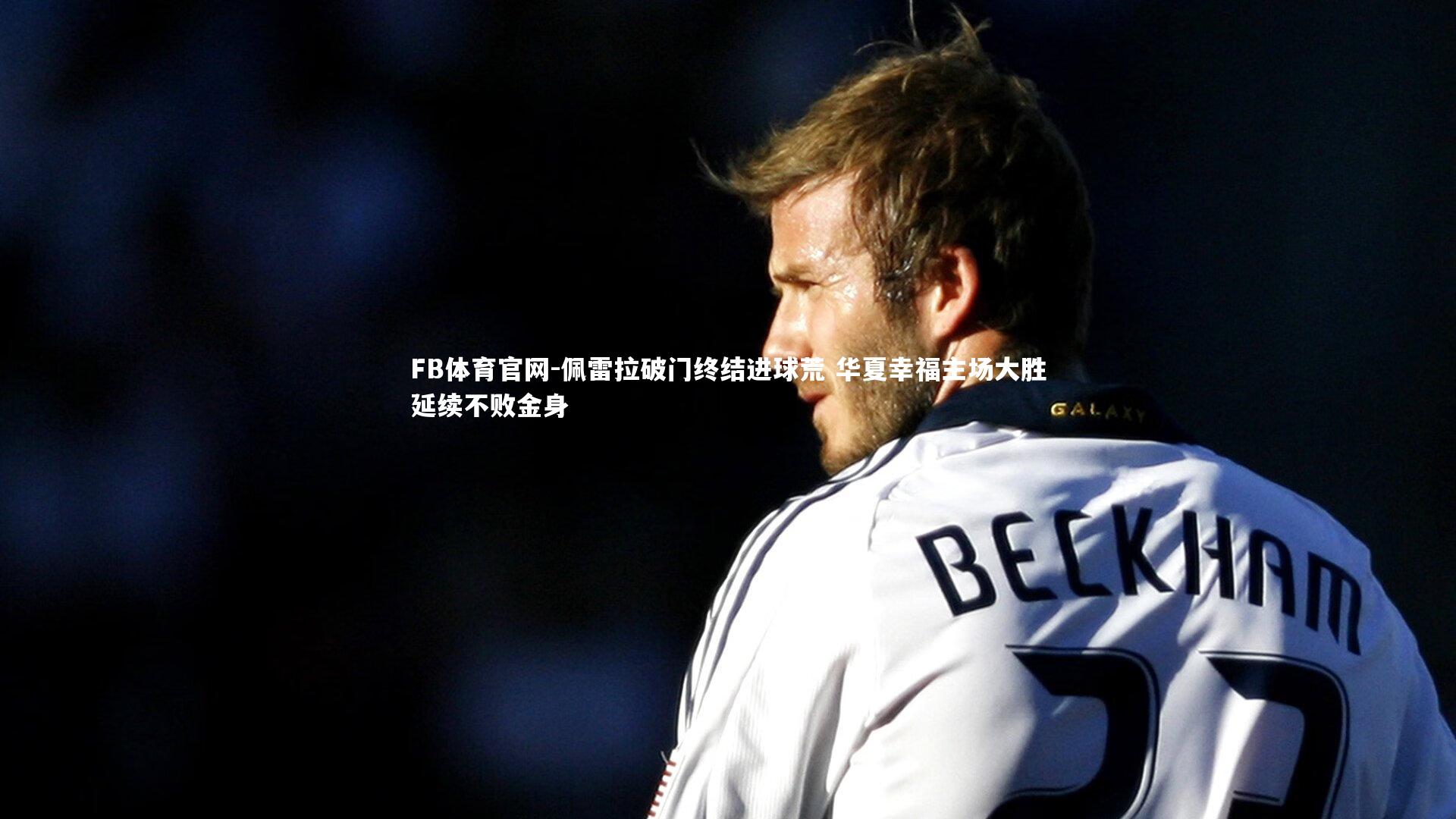 FB体育官网-佩雷拉破门终结进球荒 华夏幸福主场大胜延续不败金身